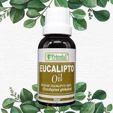 OLEO DE EUCALIPTO GLOBULUS 30ML PRONATUS DA AMAZONIA