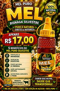 MEL PURO BISNAGA SILVESTRE 230G COM SELO SIF BOA VISTA