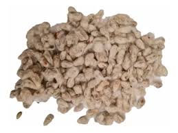 SEMENTE DE ALGODOEIRO GOSSYPIUM HIRSUTUM 100G