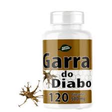 GARRA DO DIABO 120 CAPSULAS 500MG NATUERVAS