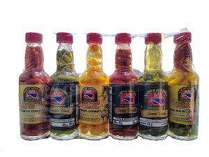 KIT DE 6 CONSERVAS DE PIMENTAS 270G SABOR MINEIRO