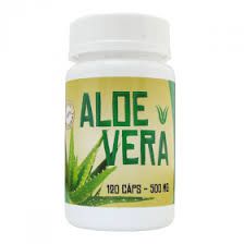 ALOE VERA OU BABOSA 120 CAPSULAS 500 MG NINHO VERDE