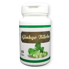 GINKGO BILOBA CAPSULAS 60X500 NINHO VERDE