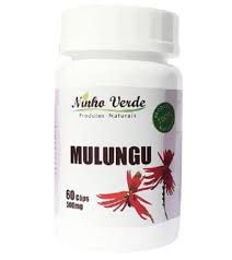 MULUNGU 60X500 CAPSULAS NINHO VERDE