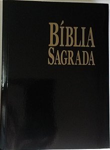 B-15 BIBLIA  MEDIA CAPA MOLE   PAPEL  LAM.