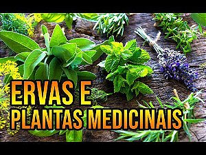 Ervas e Plantas Medicinais a granel