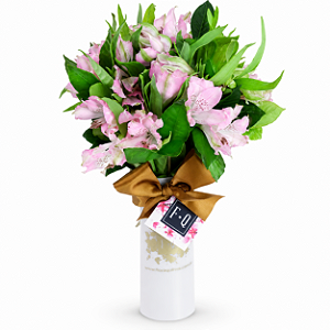 Cup de Alstromérias Cor de Rosa