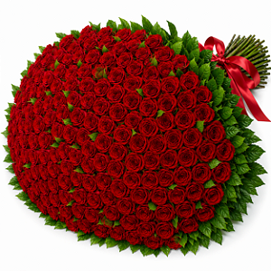 Mega Buquê de 100 Rosas Colombianas