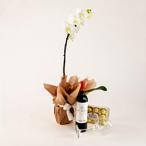 Kit de Orquídea Phalaenopsis Branca