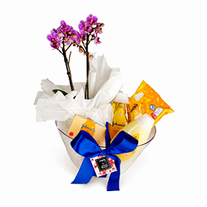 Kit Mini Phalaenopsis Johnson’s para Maternidade