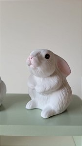 Coelho Delicado Branco Fosco