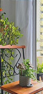 Vaso Decorativo Poço dos Desejos para Plantas Pendentes