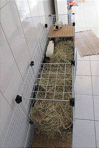 Cercado Retangular vazado