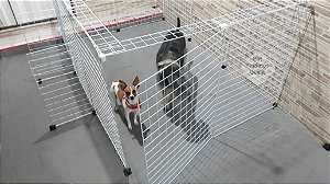 Cercado -10 Módulos  reforço porta  - Mod. Thor