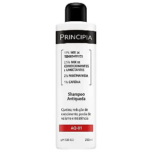 SHAMPOO PRINCIPIA ANTIQUEDA AQ01 250ML