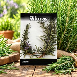 Sementes de Alecrim (Rosmarinus officinalis)