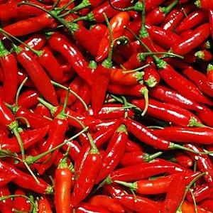 Sementes de Pimenta Malagueta (Capsicum frutescens)