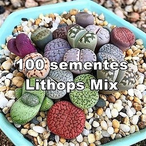 Sementes de Lithops Mix 'Pedras Vivas Africanas' (100 Sementes)
