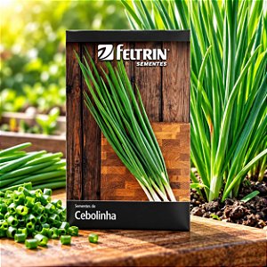 Sementes de Cebolinha Todo Ano (Allium fistulosum)