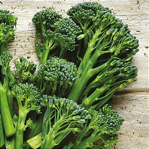 Sementes de Brócolis Ramoso (Brassica oleracea)