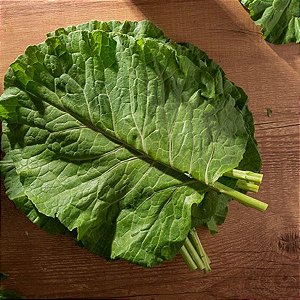 Sementes de Couve Manteiga (Brassica oleracea L. var. acephala)