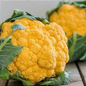 Sementes de Couve-Flor Laranja Cheddar (Brassica oleracea L. var. botrytis)