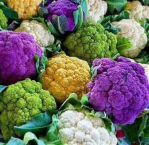 Sementes de Couve-Flor Mix Arco-Íris