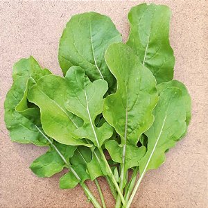 Sementes de Rúcula Folha Larga (Eruca sativa)