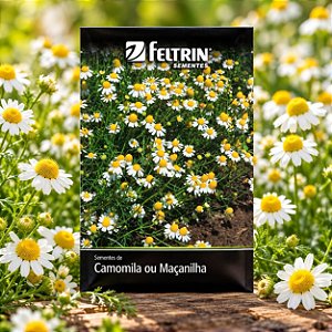 Sementes de Camomila (Matricaria recutita)