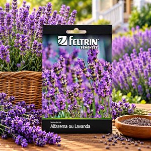 Sementes de Lavanda (Lavandula angustifolia)