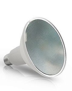 Lampada Par38 Led 12W