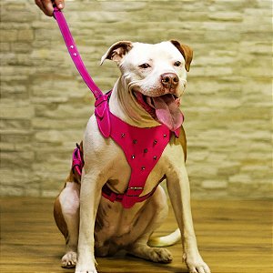 Coleira peitoral Gladiador até 35kg