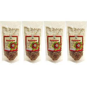 Kit 4 Hambúrguer Vegano Tui Alimentos 100g