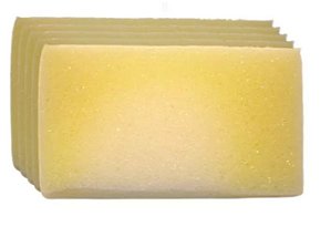 Elemento Filtro Ar Schulz Tufão Jetmaster E Pint Fácil Ms2.3 (Kit com 5 Pcs)