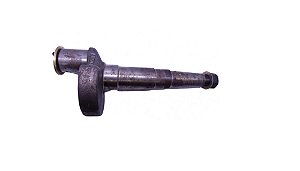 Pistao E Camisa 12020