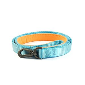 Handy Turquoise Orange