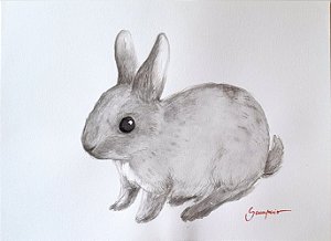 Coelho Cinza Filhote - aquarela