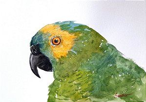Maracanã - aquarela