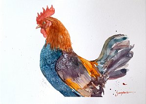 Galo Garnizé - aquarela