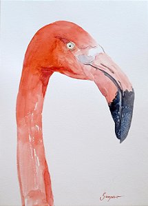Flamingo Rosa - aquarela