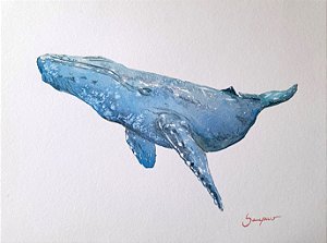 Baleia Jubarte - aquarela