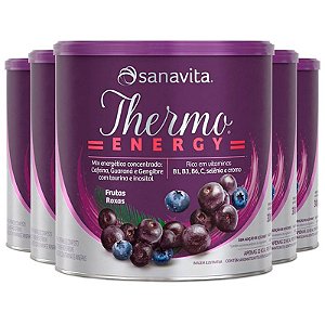 Kit 5 Thermo energy Sanavita frutas roxas 300g