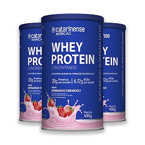 Kit 3 Whey Protein Concentrado Catarinense 450g Morango