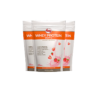 Kit 3 Whey Protein Vitafor 900g Concentrado Morango
