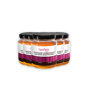 Kit 5 Composto de Mel Apisnutri Agrião, Eucalipto e Copaíba 300g