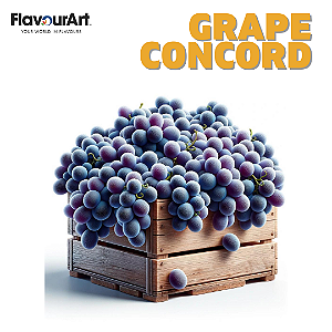 Grape Concord  10ml | FA