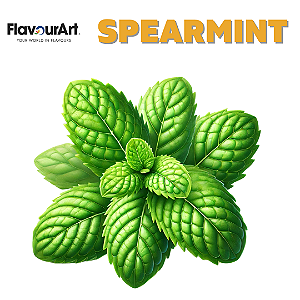 Spearmint | FA