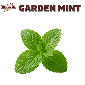 Aroma de Garden Mint | FLV
