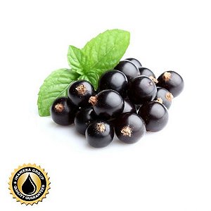 Aroma de Blackcurrante | INW