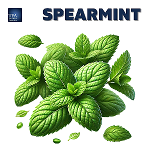 Spearmint | TPA